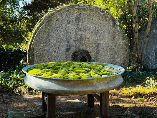 Antike Kupferwanne aus England