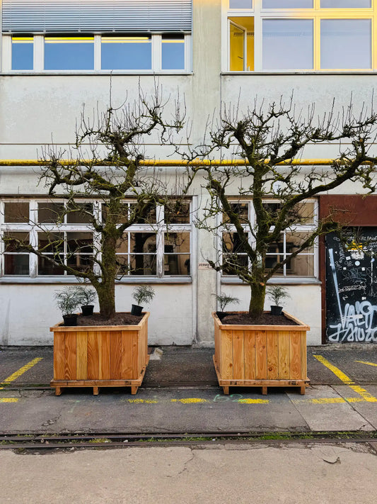 Holzgefässe aus Lärche