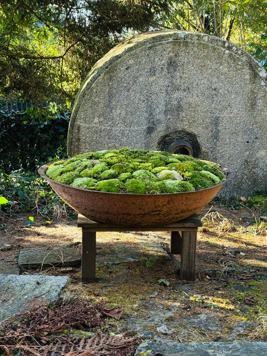 Alte Stahlwanne aus Frankreich